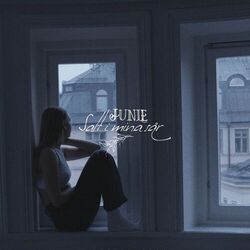 Cover of Salt I Mina Sår