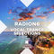 A Desert Rose (Radio Edit) by Radion6 album cover