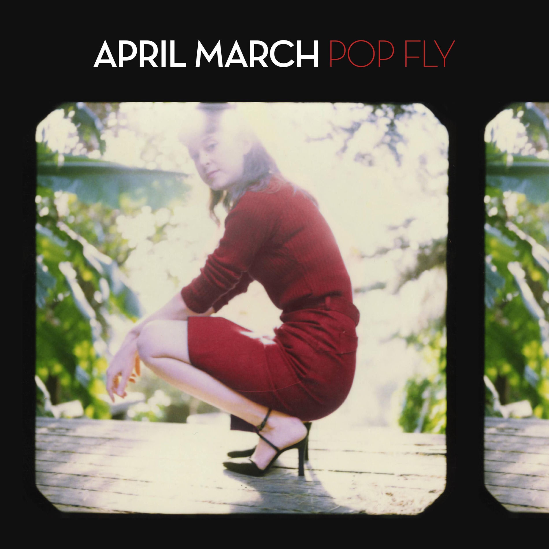 Album cover of Pop Fly
