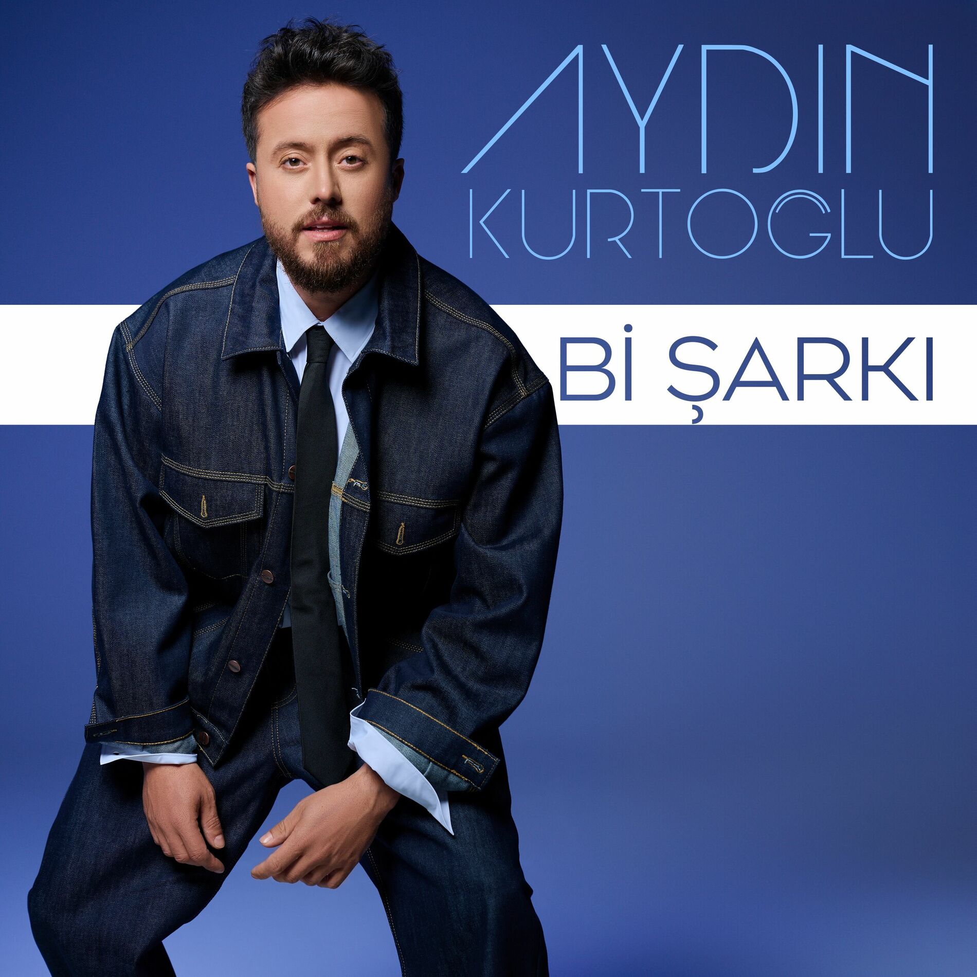 Album cover of Bi Şarkı