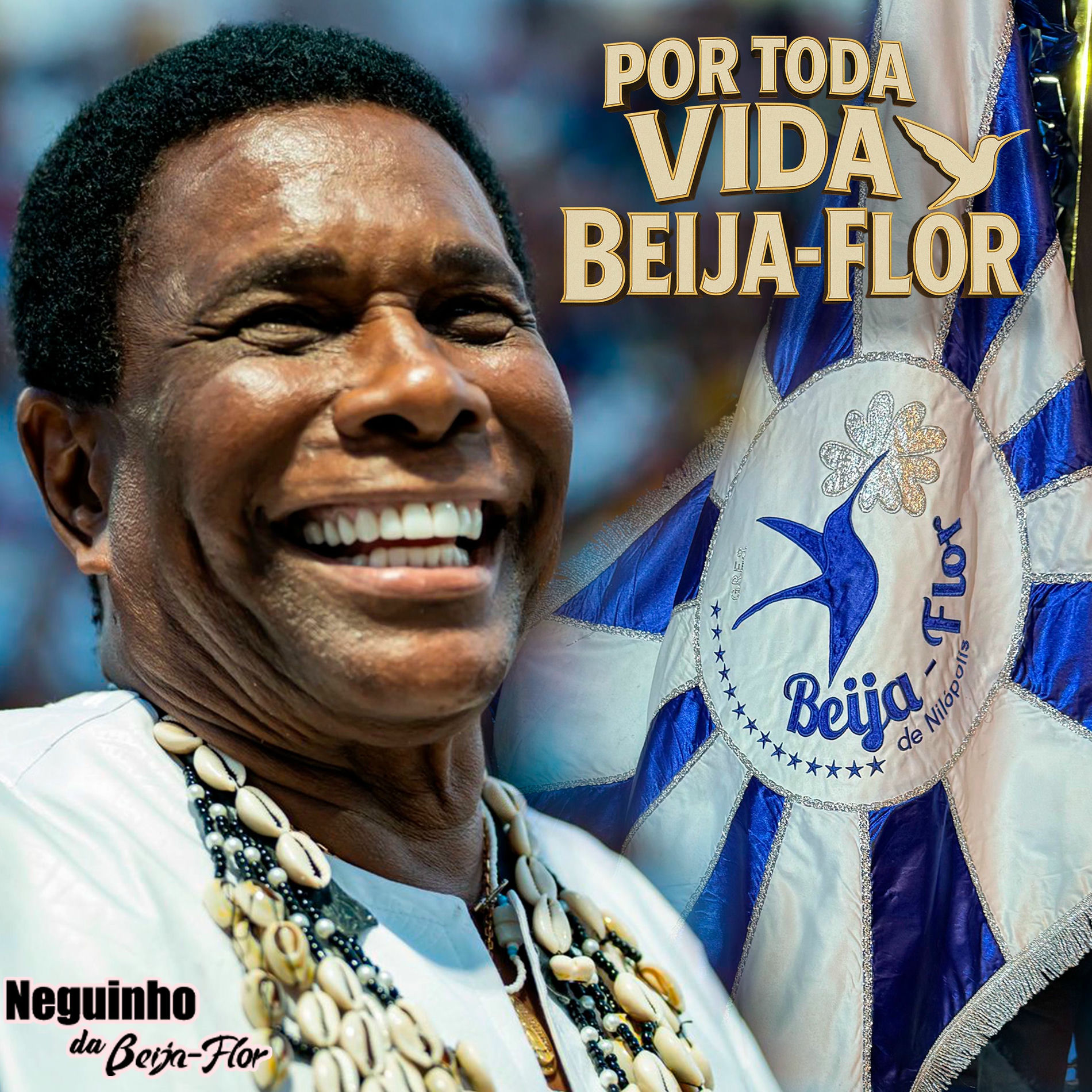 Album cover of Por Toda Vida Beija-Flor (Ao Vivo)
