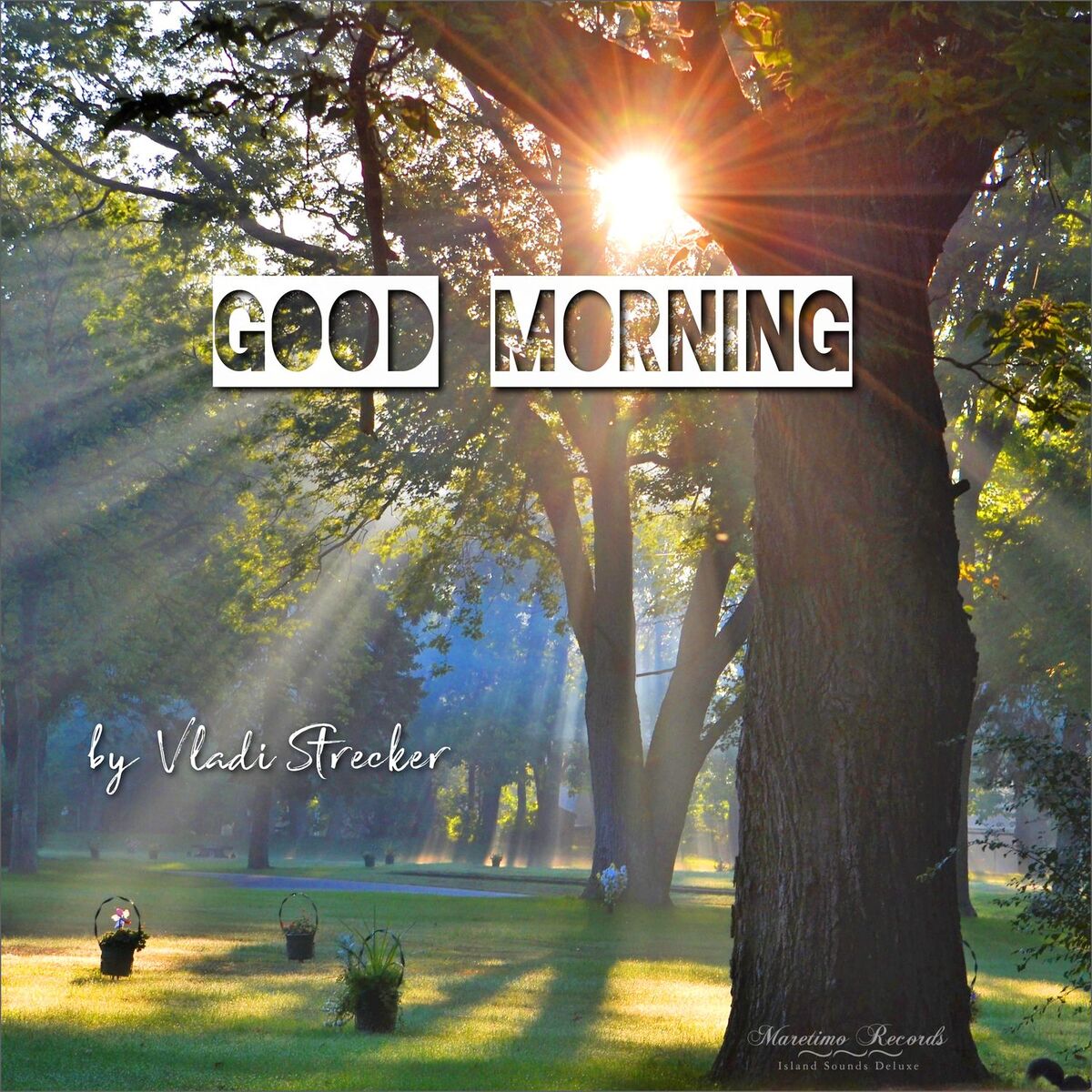 Album cover of Good Morning (Springtime Cut)