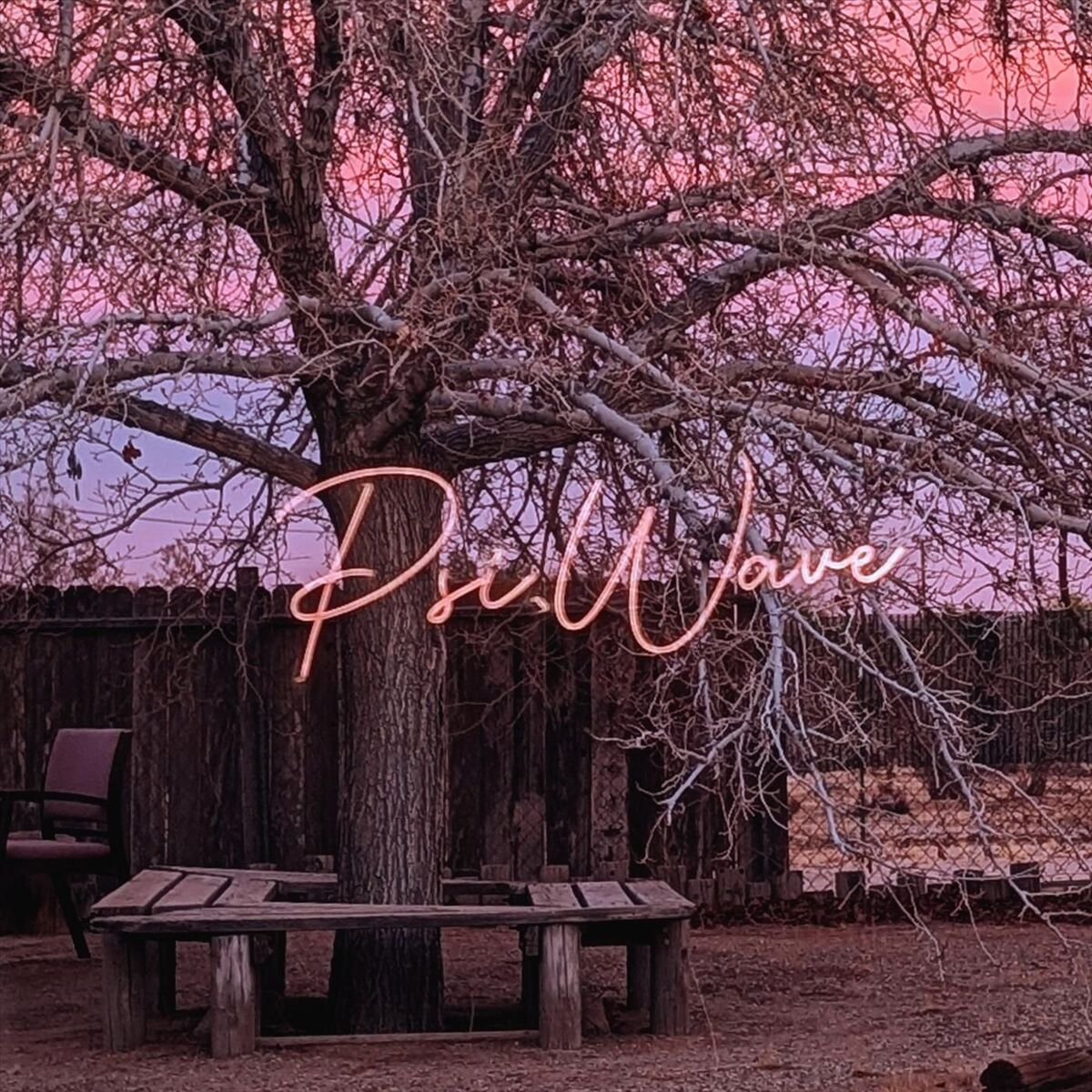 Album cover of Psi Wave