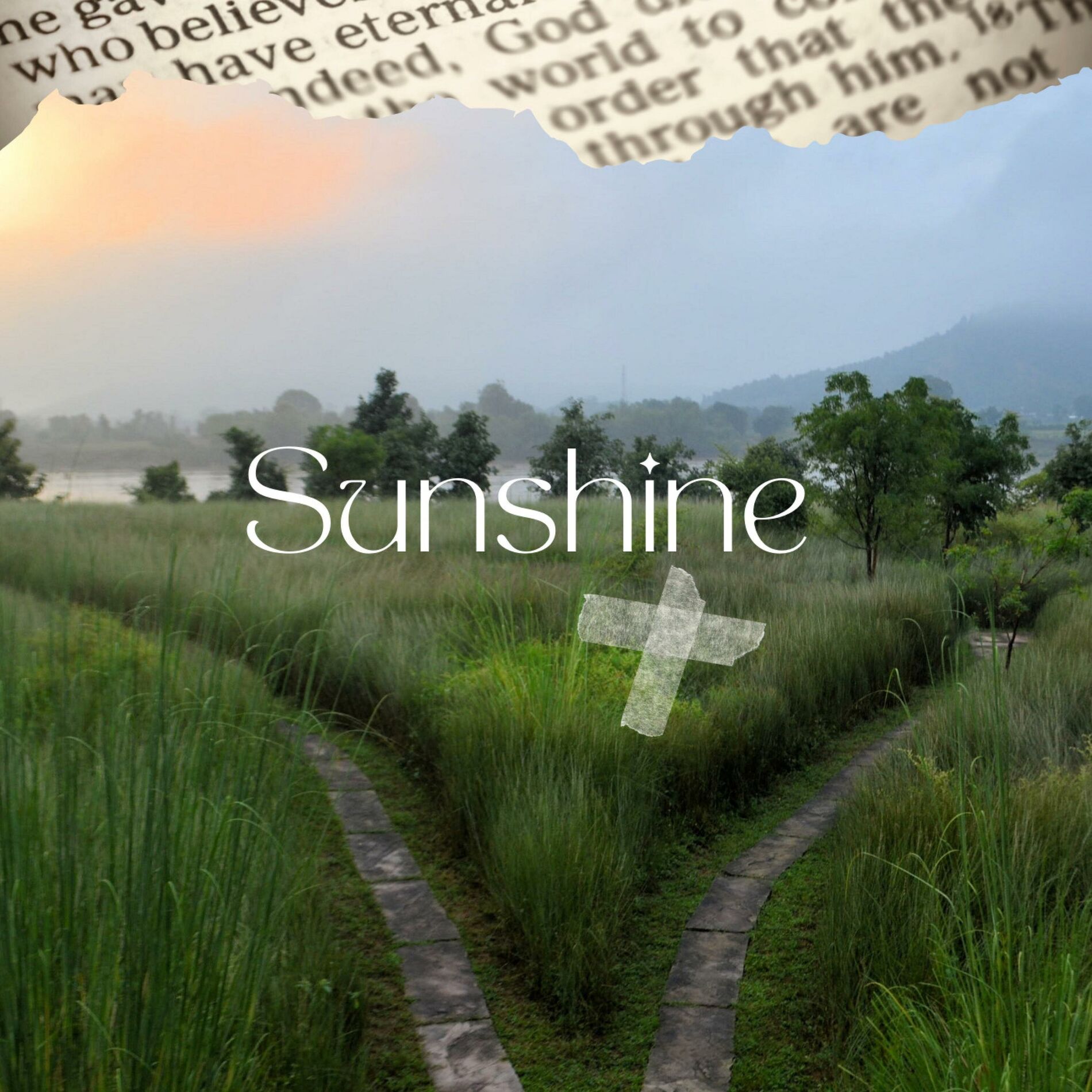 Album cover of SunShine