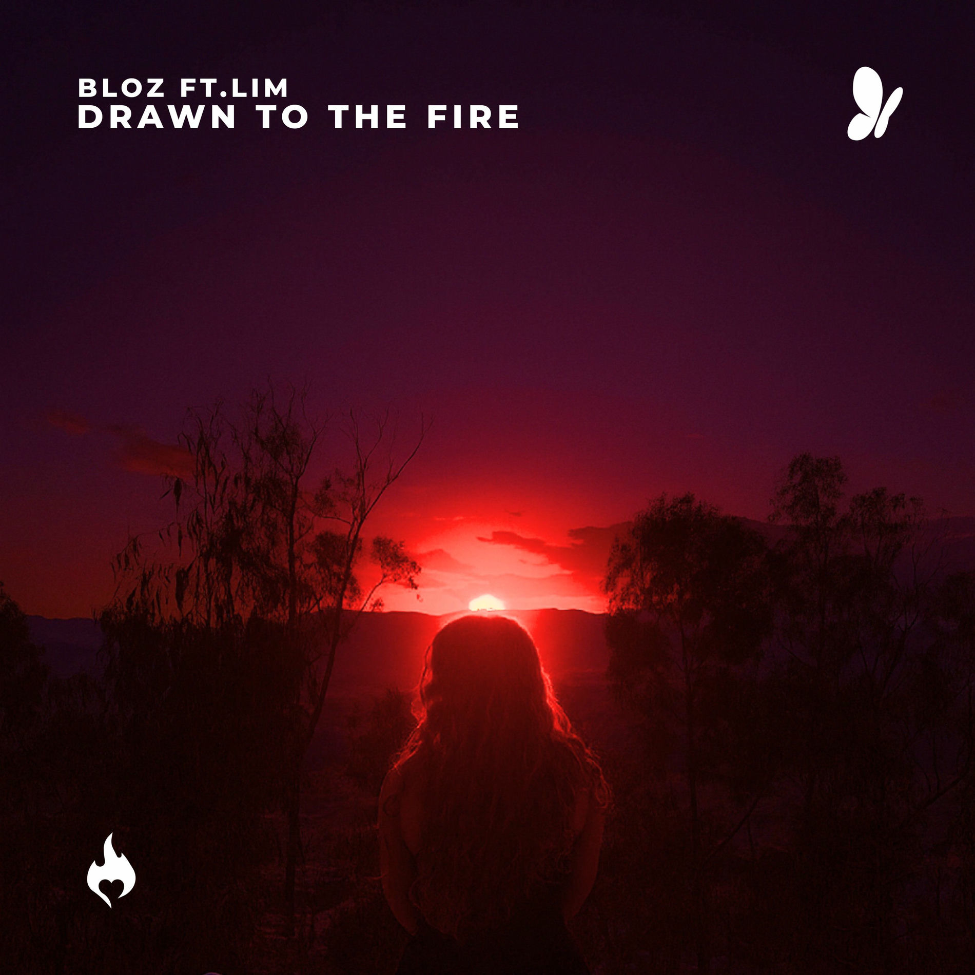 Album cover of Drawn to the Fire (Extended)