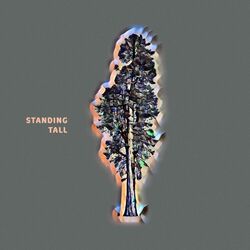 Cover of Standing Tall