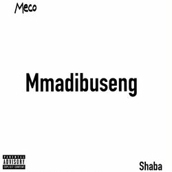 Cover of Mmadibuseng