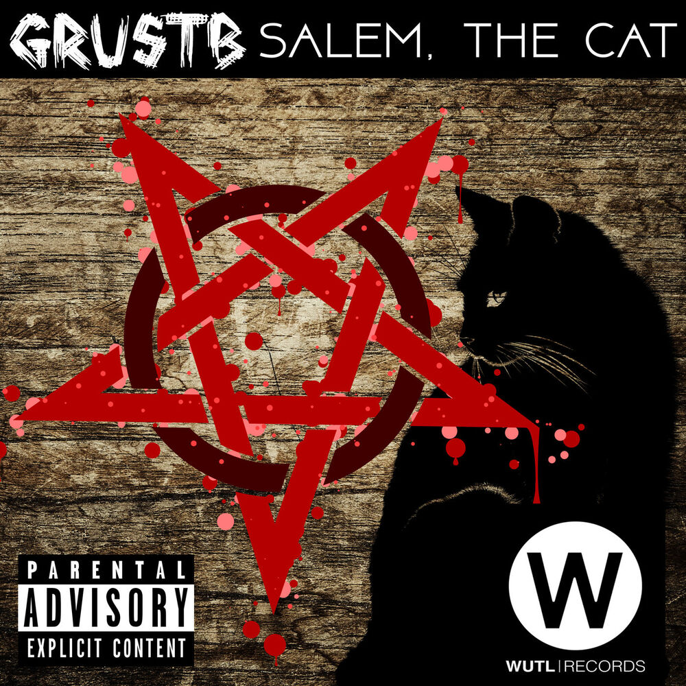 Picture of Salem, the Cat