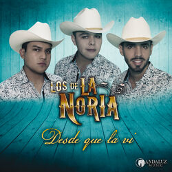 Cover of Desde Que La Vi