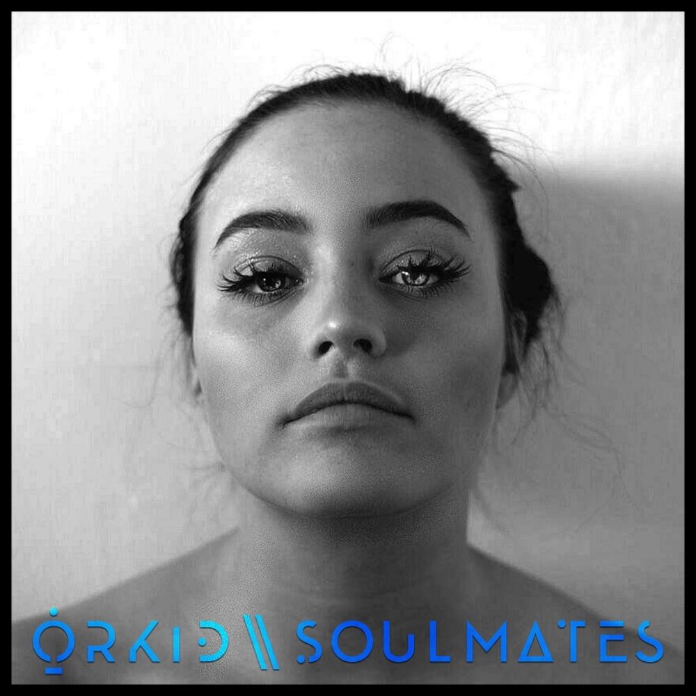 Picture of Soulmates