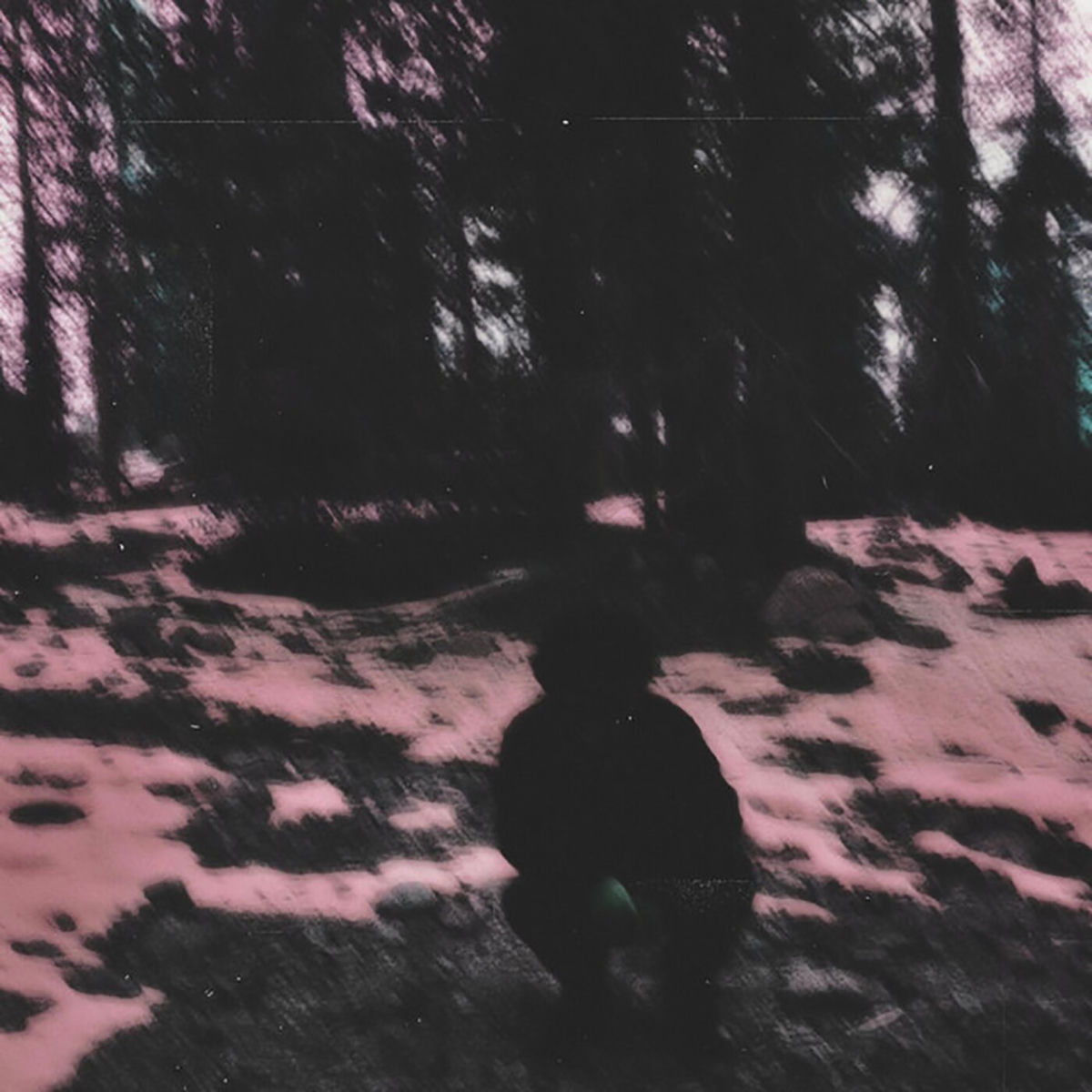Album cover of the day you killed yourself (sped up)