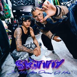 Cover of Skinny