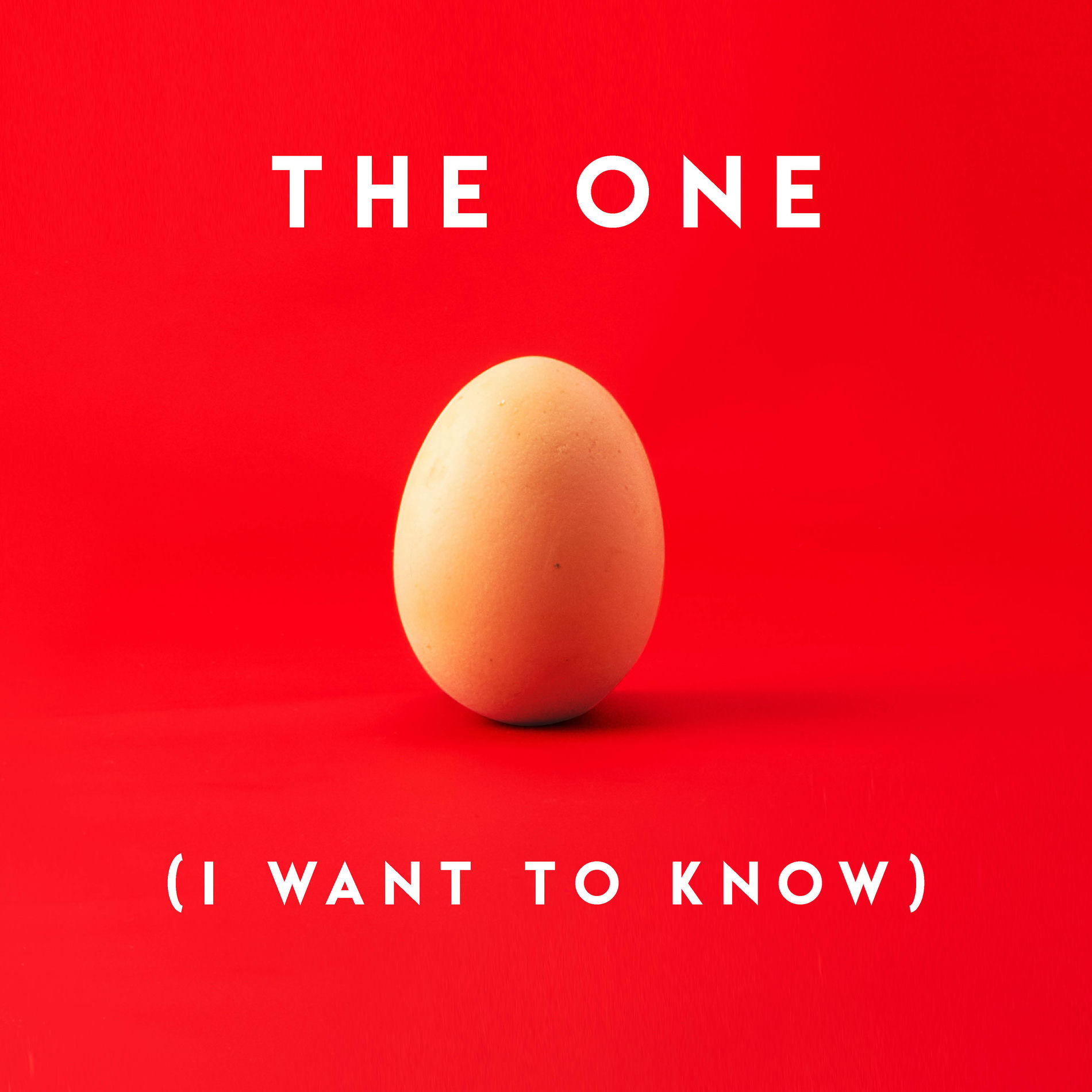 Album cover of The One (I Want to Know)