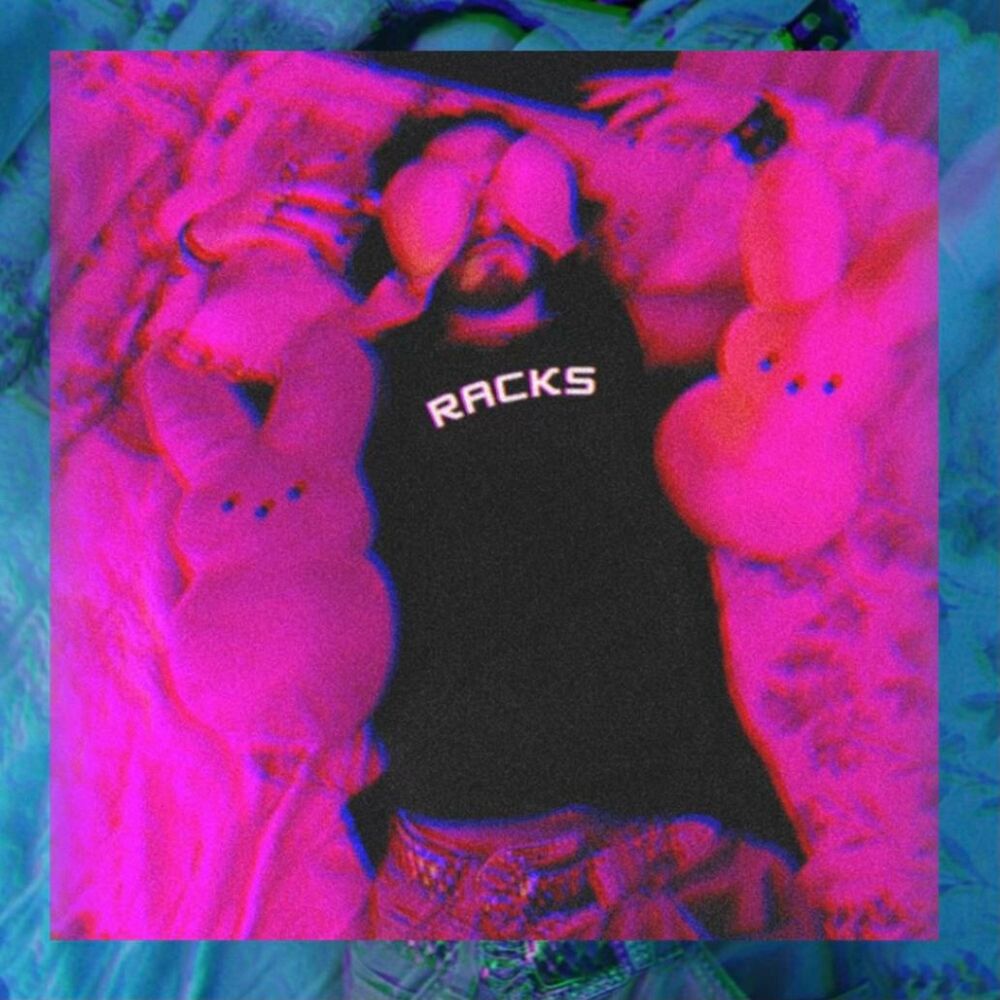 Picture of RACKS