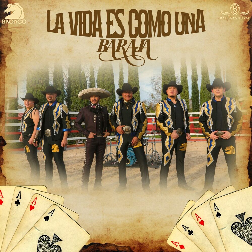 Picture of La Vida Es Como Una Baraja