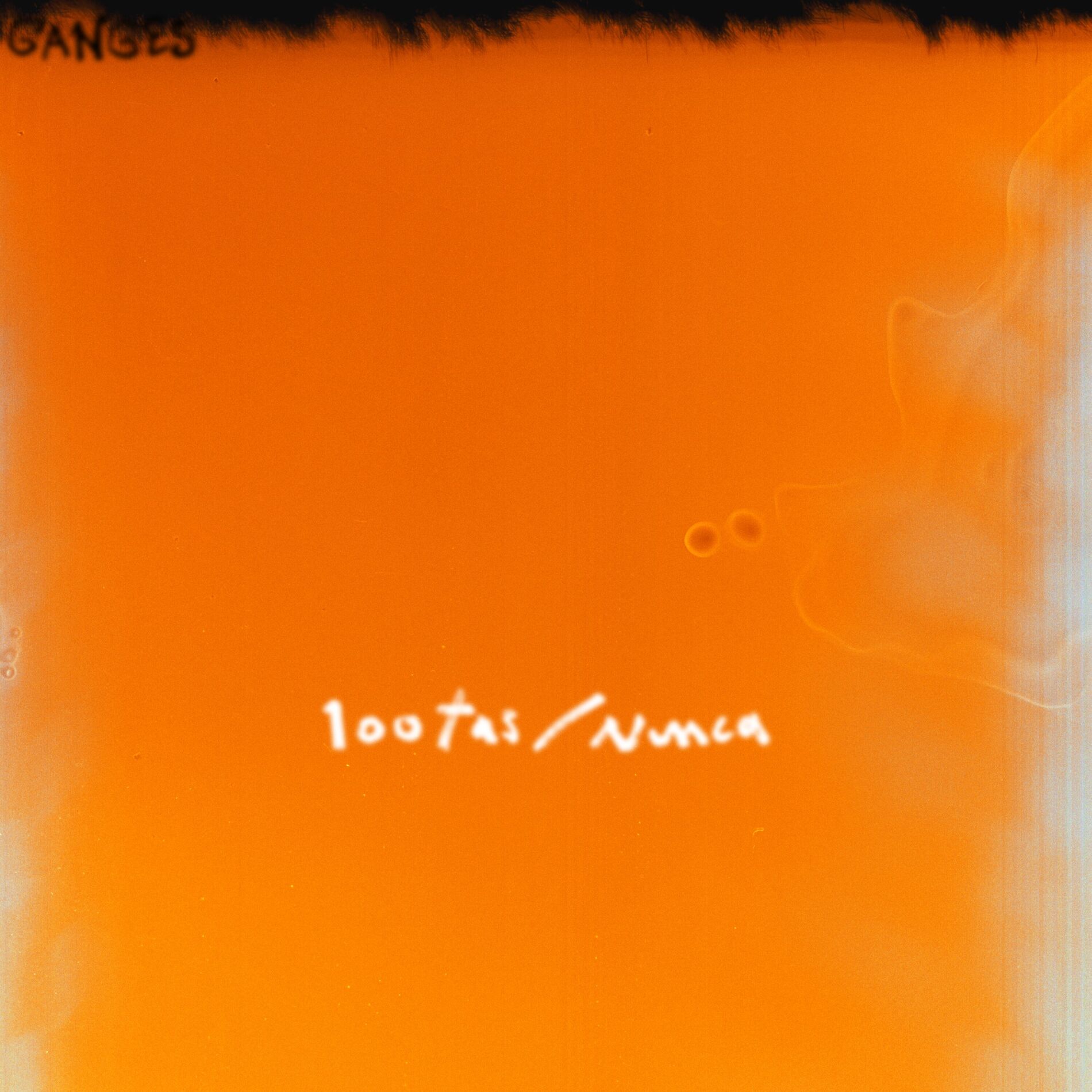 Album cover of Nunca