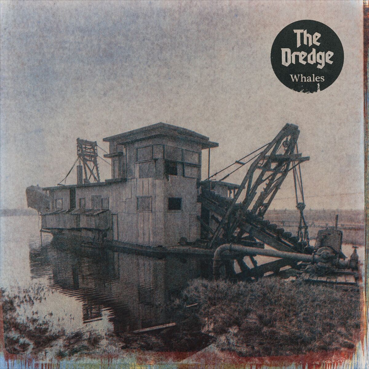 Album cover of Whales