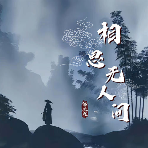 相思无人问 (DJ默涵版)