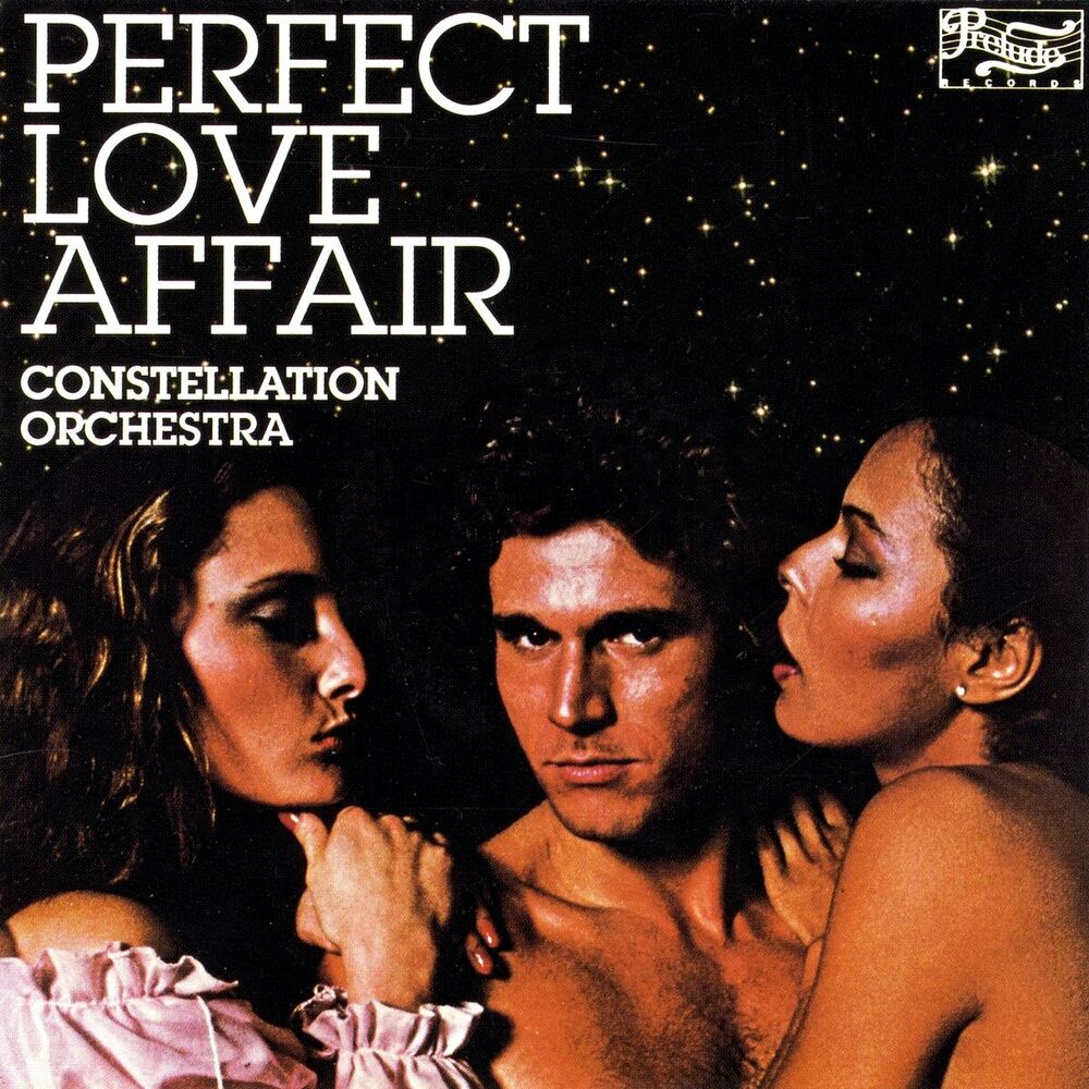 Picture of Perfect Love Affair