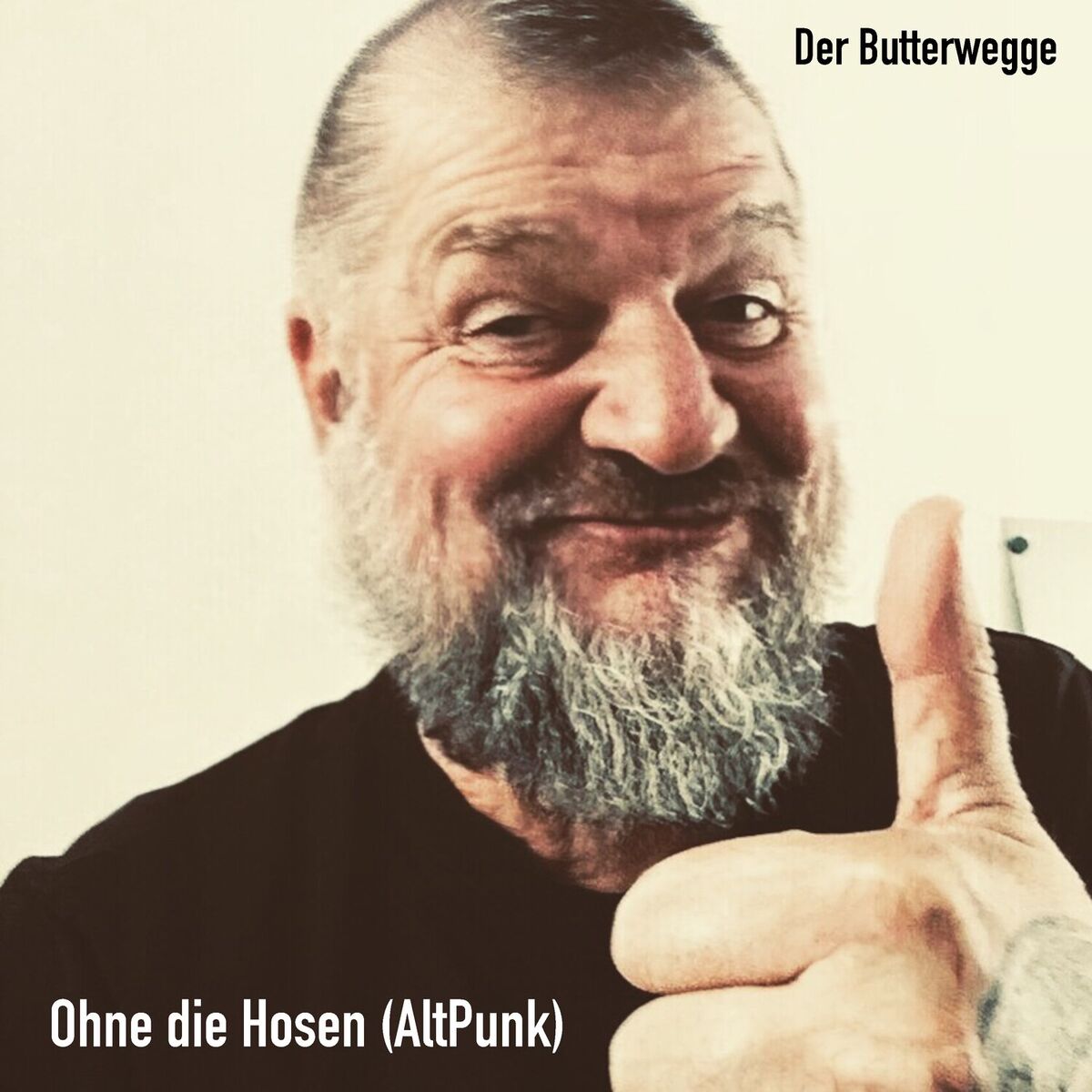 Album cover of Ohne die Hosen (AltPunk)