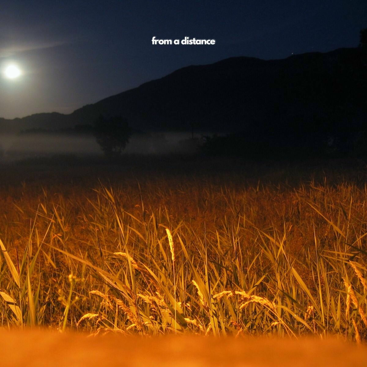 Album cover of Days to Come