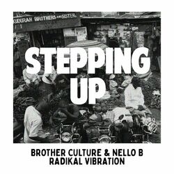 Cover of Stepping Up