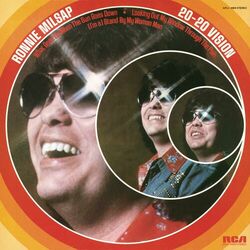 Cover of 20 / 20 Vision