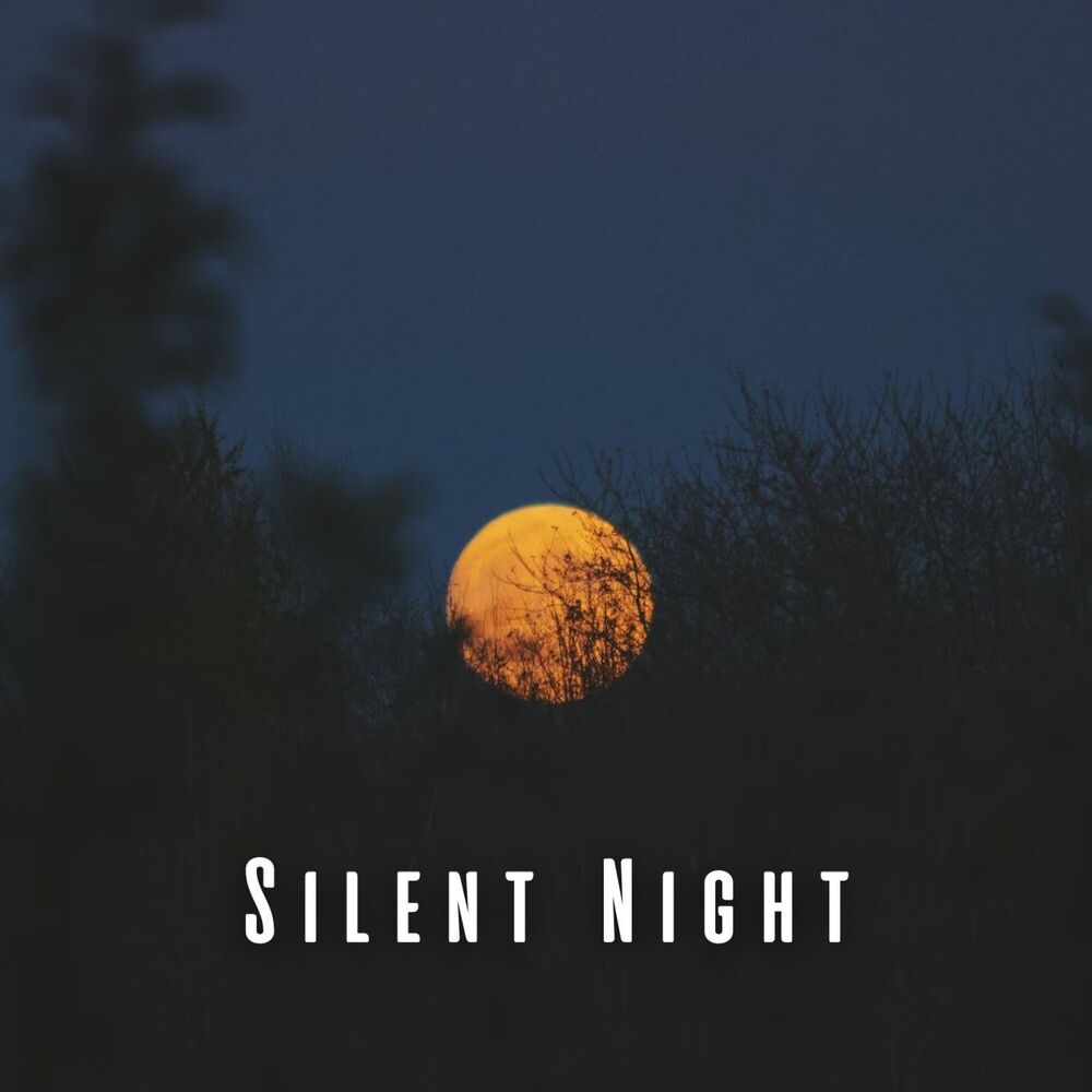 Picture of Silent Night: Ambient Music Therapy for Sleep