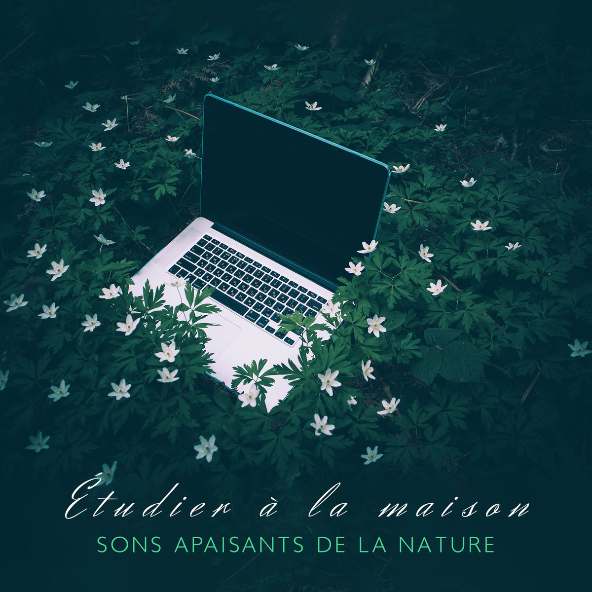 Album cover of Étudier à la maison: Sons apaisants de la nature - Super concentration, Concentrer, 15 conseils pour apprendre