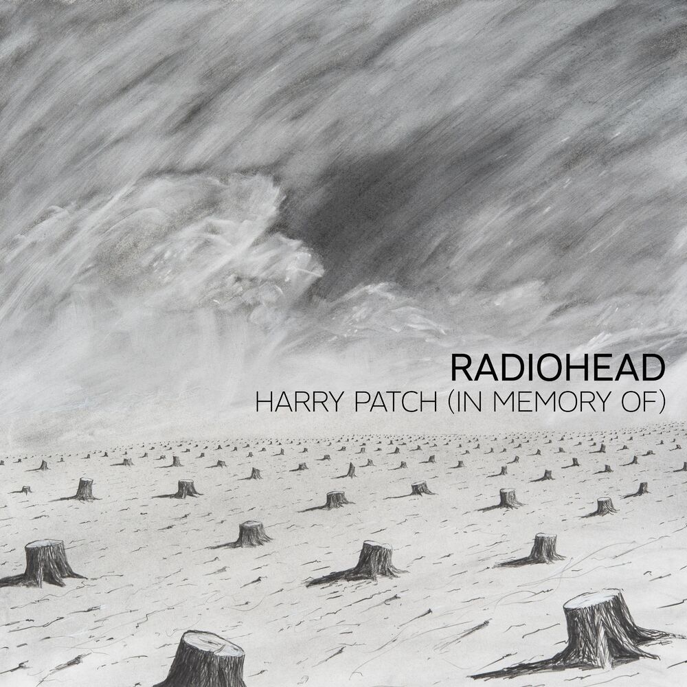Picture of Harry Patch (In Memory Of)