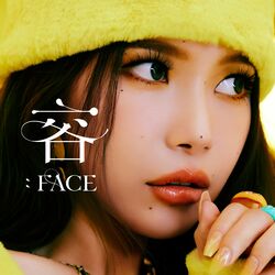 Cover of 容 : FACE