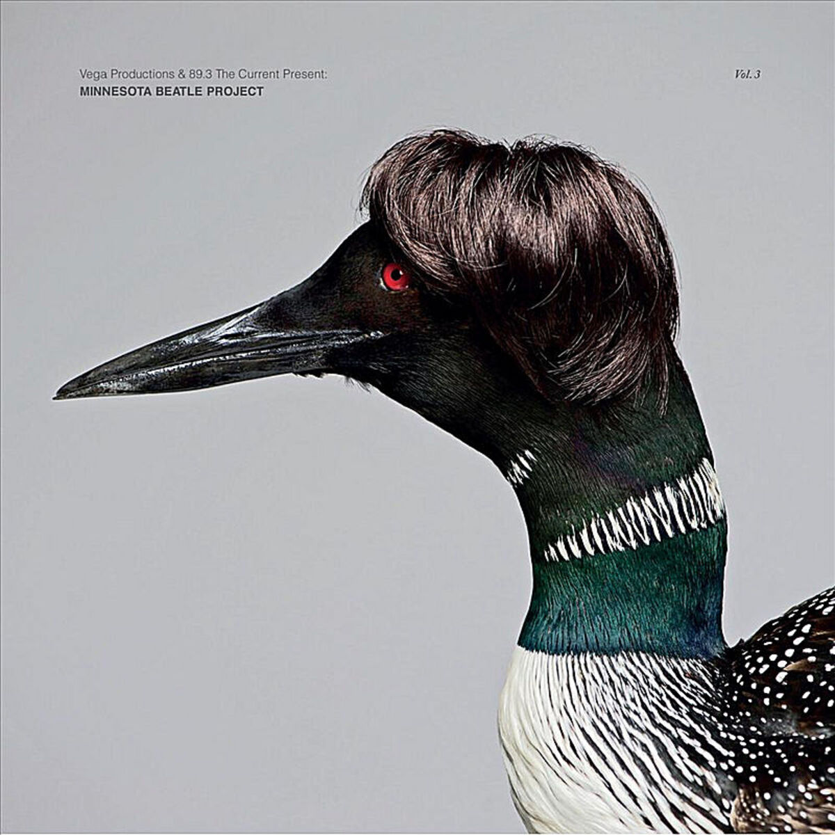 Album cover of Minnesota Beatle Project, Vol. 3