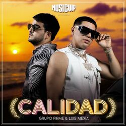 Cover of Calidad