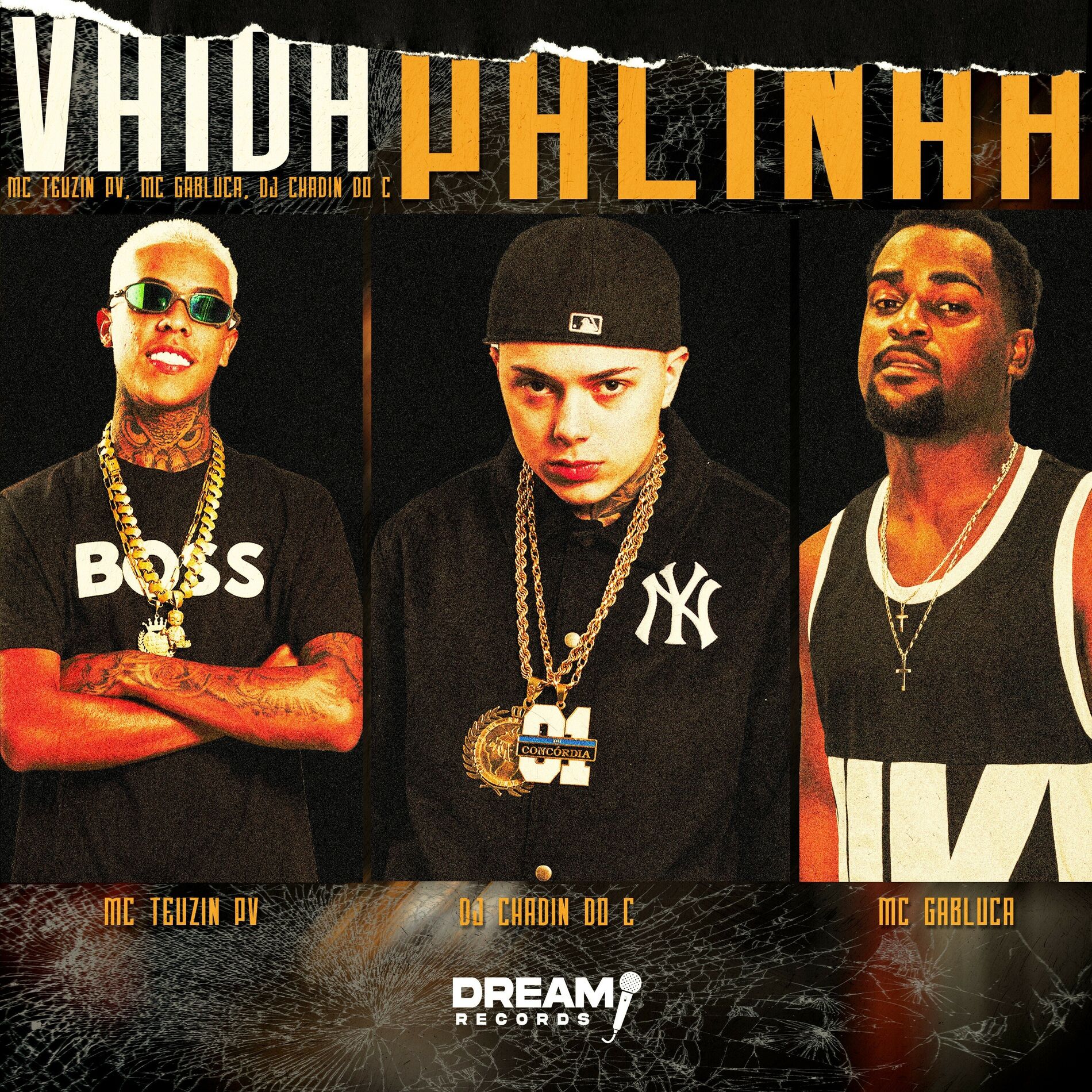 Album cover of Vai da Palinha