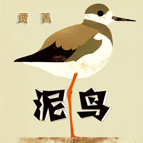 泥鸟