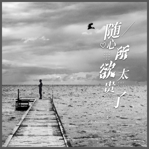 随心所欲太贵了 (男版)