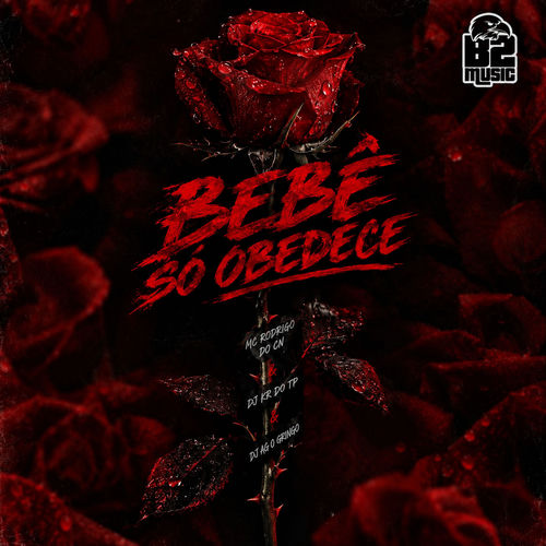Bebê Só Obedece