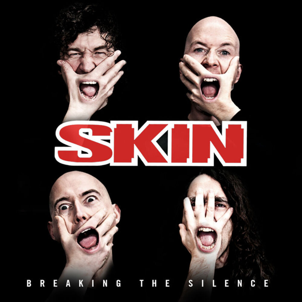 Picture of Breaking The Silence