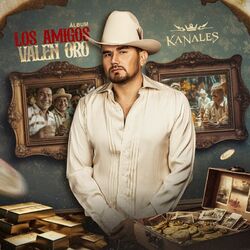 Cover of Los Amigos Valen Oro