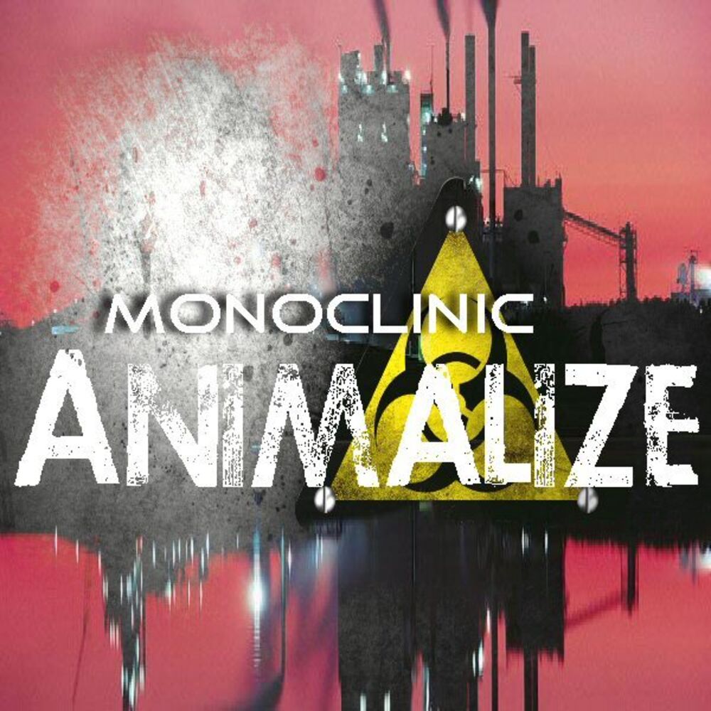 Picture of Monoclinic