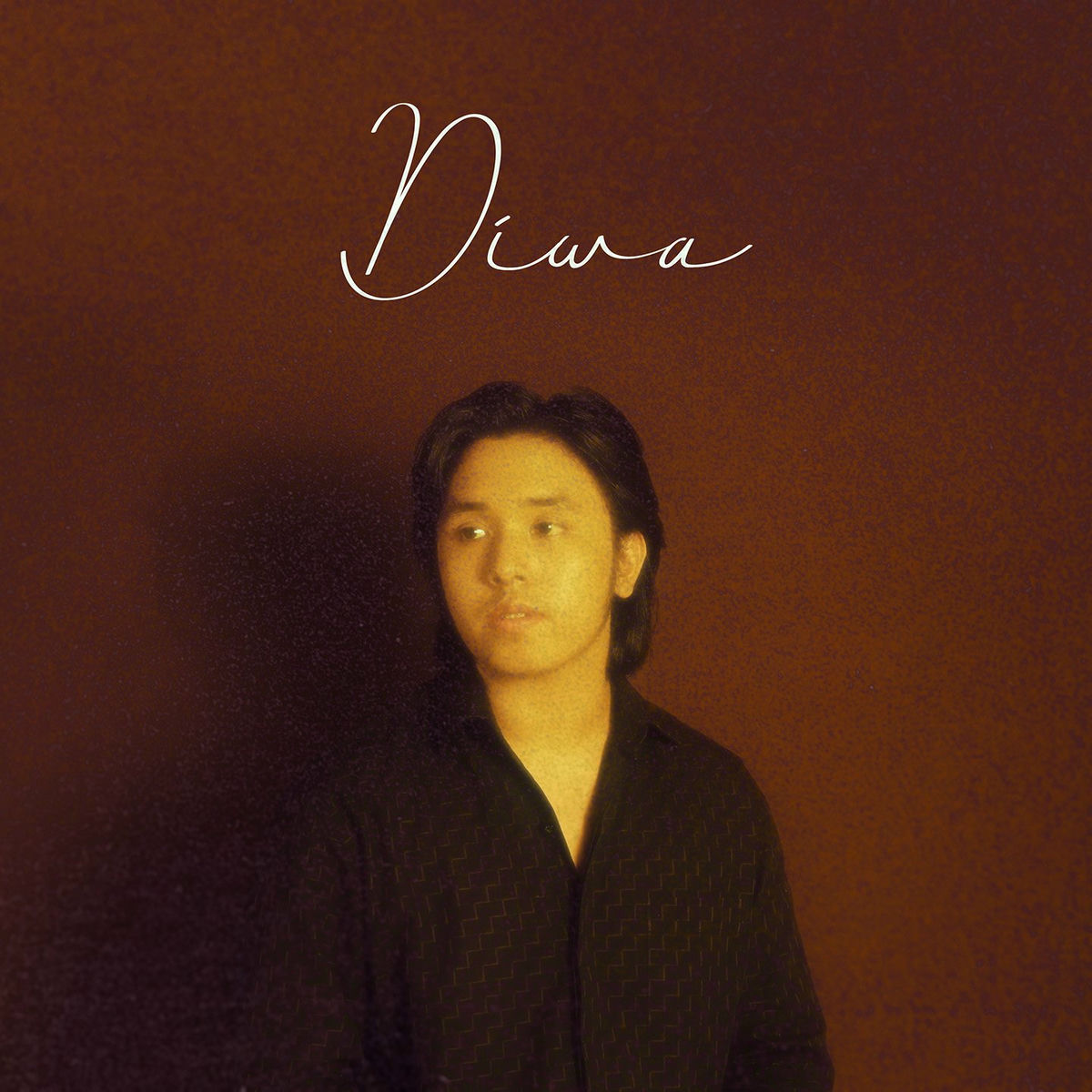 Album cover of Diwa