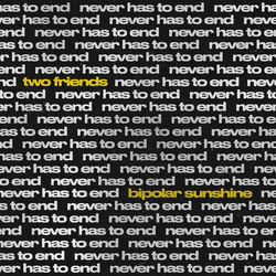 Descargar never has to end - Two Friends MP3