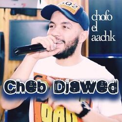 Cover of Chofo el aachk