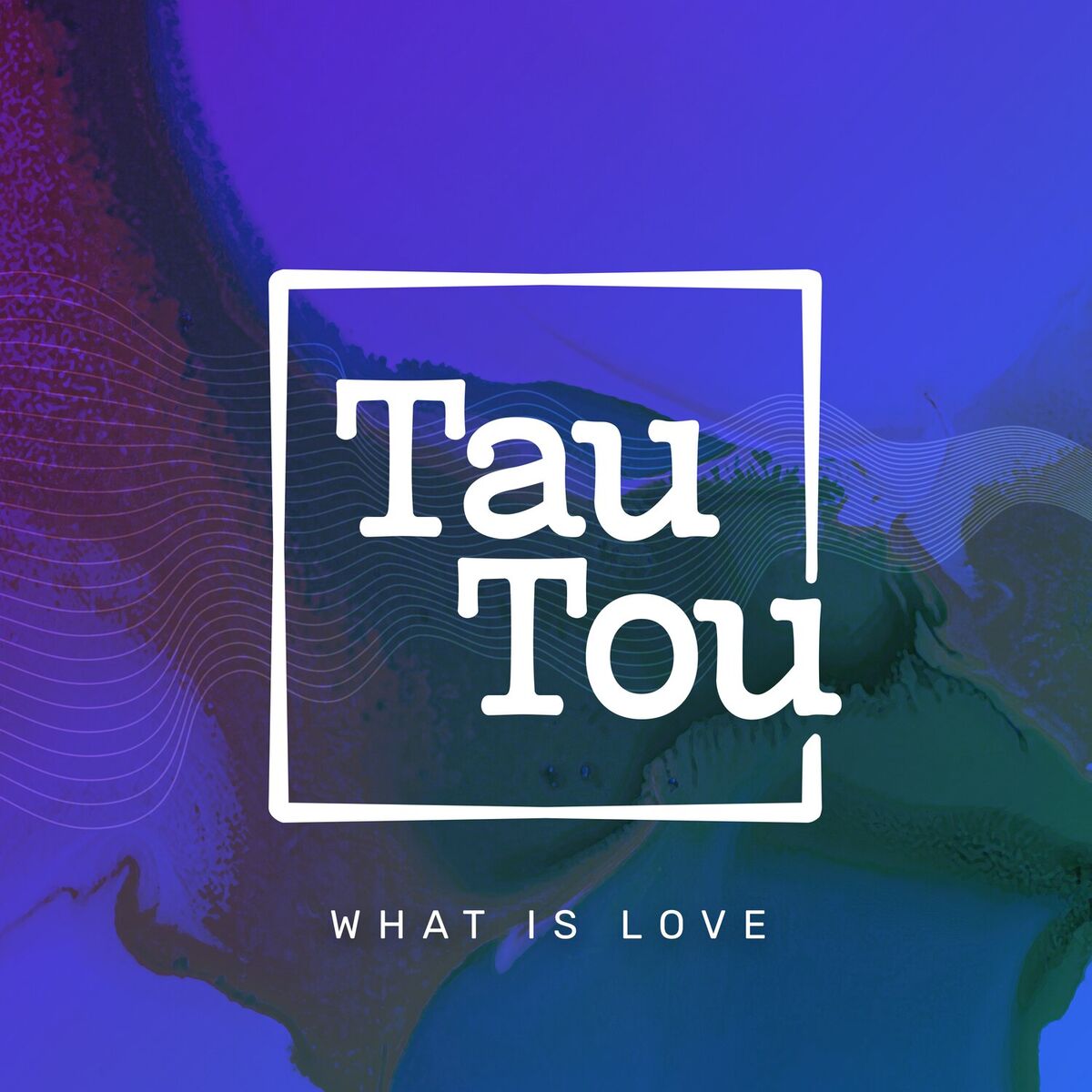 Album cover of What Is Love