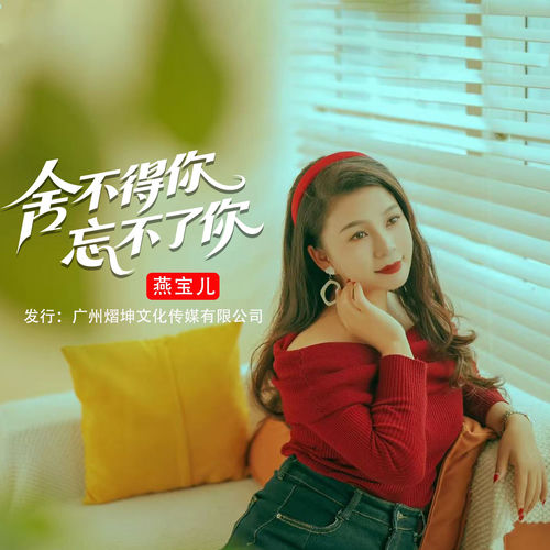 舍不得你忘不了你
