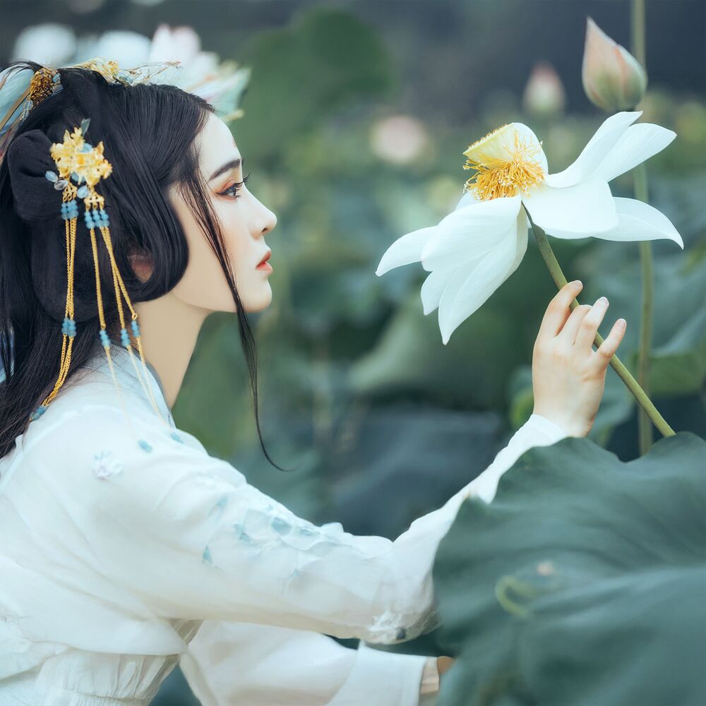 Picture of Echoes Beneath Plum Blossoms