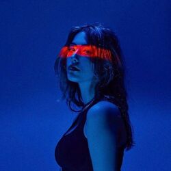 Cover of Vmeste My