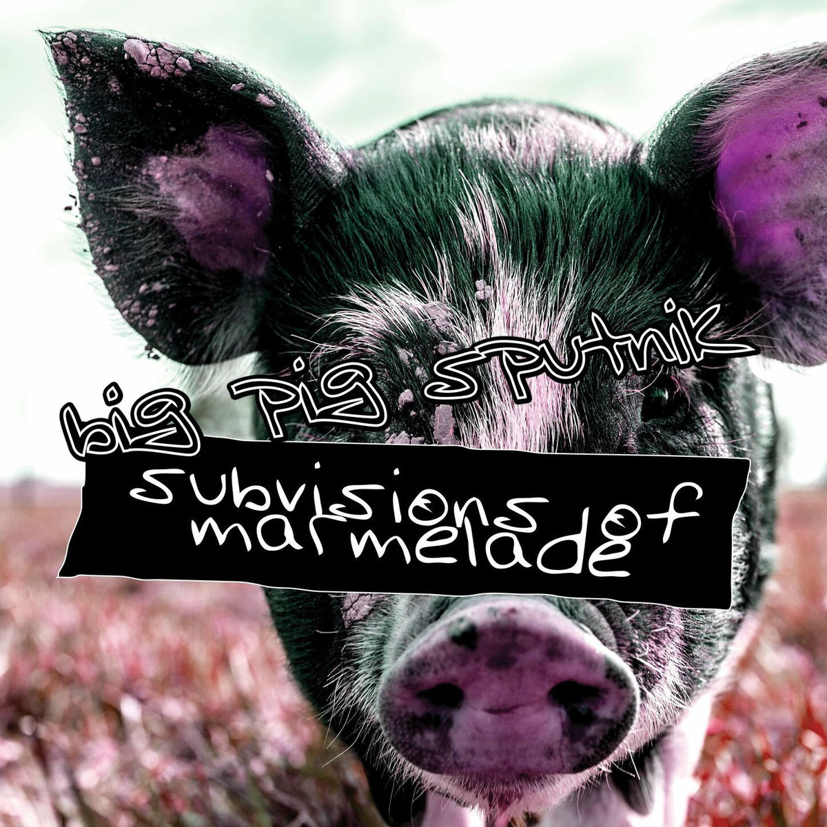 Album cover of Subvisions of Marmelade