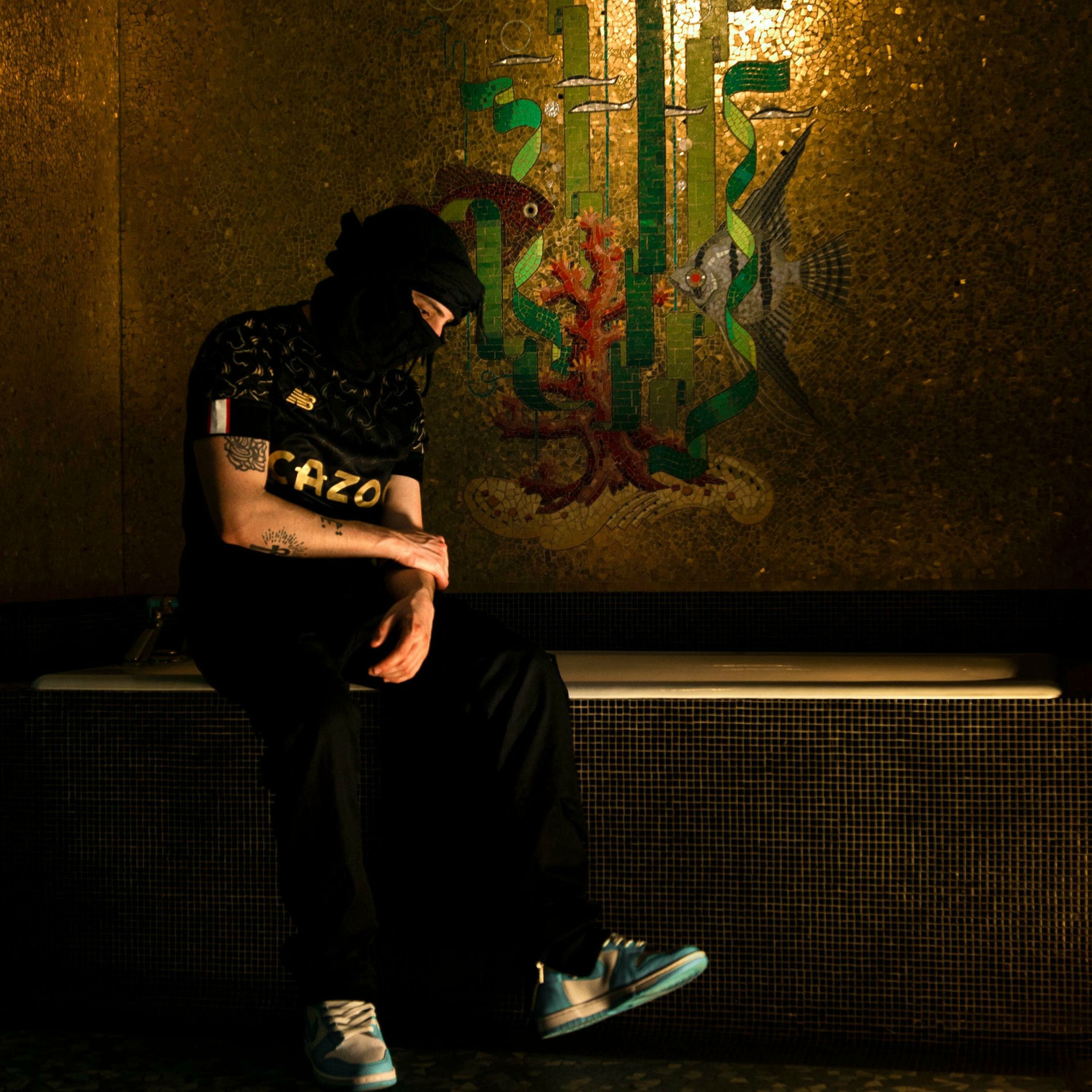 Album cover of Joya
