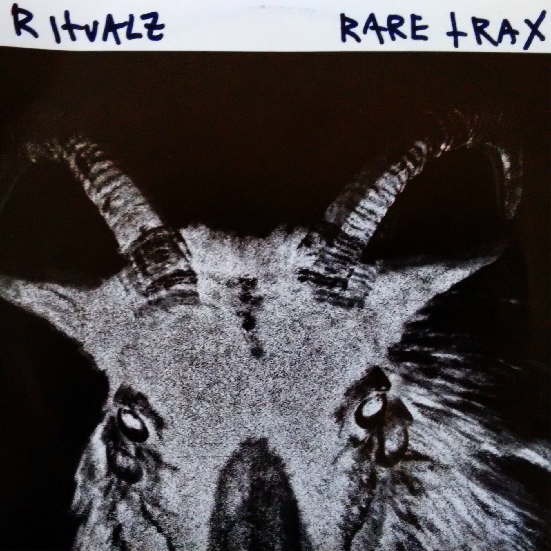 Album cover of RARE TRAX